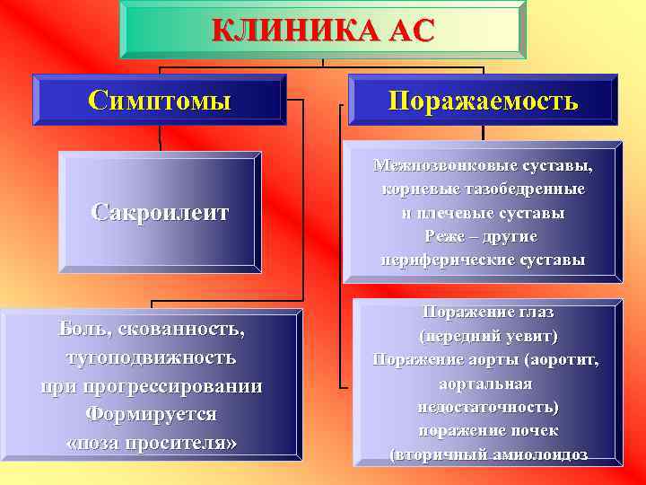 КЛИНИКА АС Симптомы Поражаемость Сакроилеит Межпозвонковые суставы, корневые тазобедренные и плечевые суставы Реже –