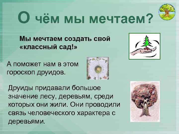 О чём мы мечтаем? Мы мечтаем создать свой «классный сад!» А поможет нам в