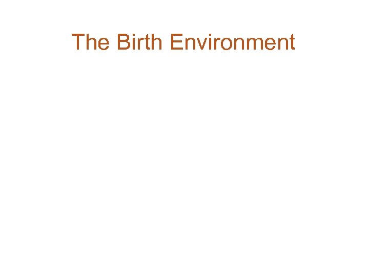 The Birth Environment 