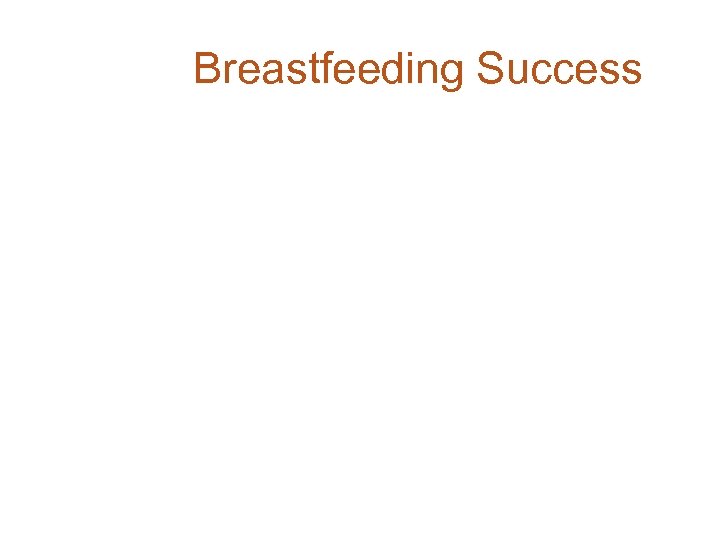 Breastfeeding Success 