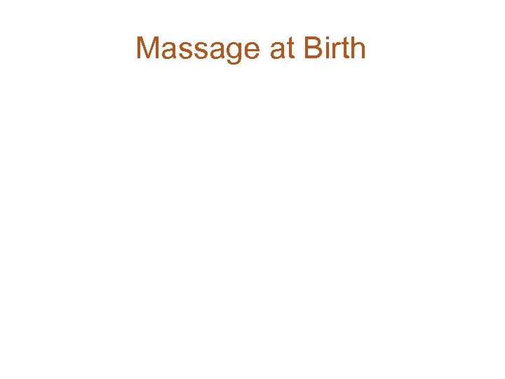 Massage at Birth 