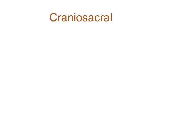 Craniosacral 