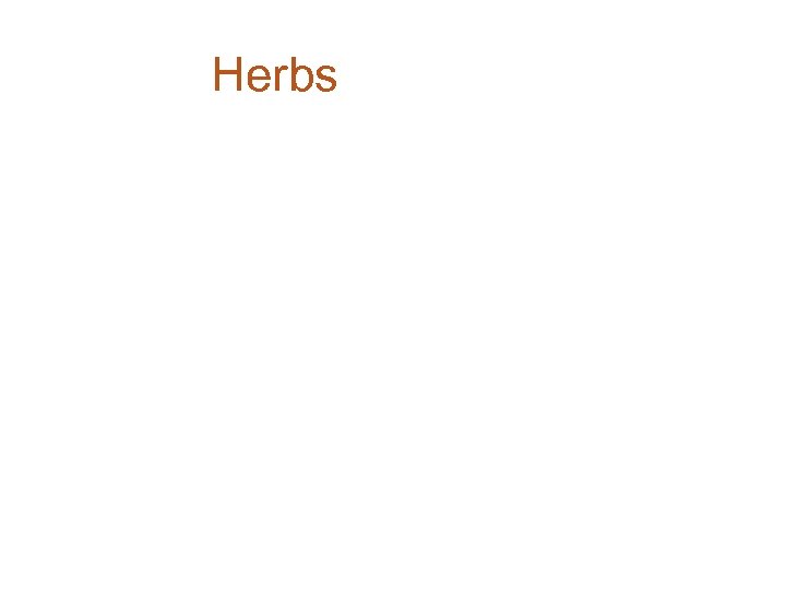 Herbs 