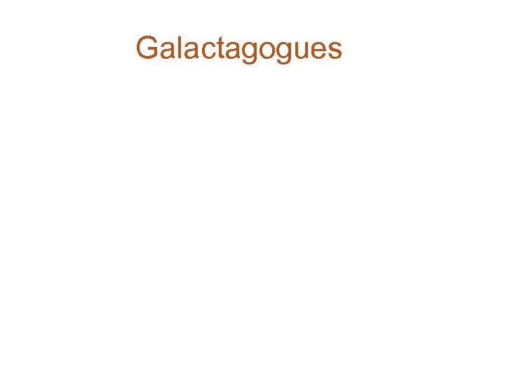 Galactagogues 