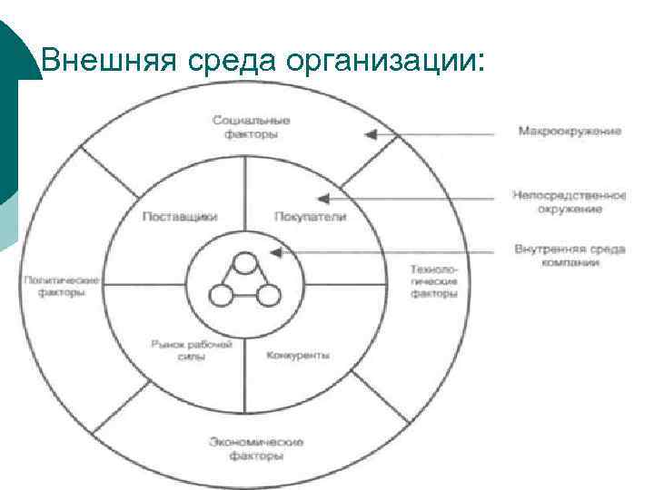 Функции внешней среды