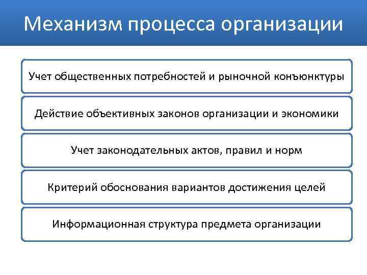 Механизм процесса организации Учет общественных потребностей и рыночной конъюнктуры Действие объективных законов организации и