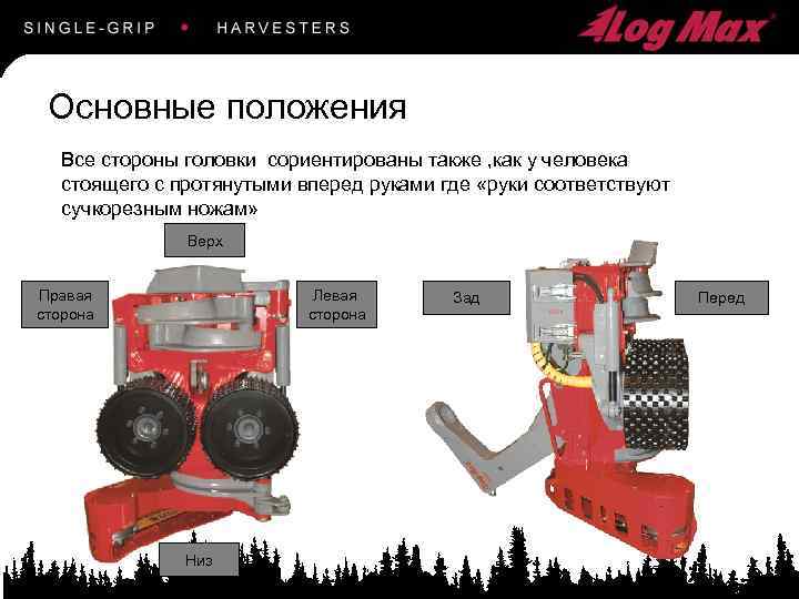 Основные положения Все стороны головки сориентированы также , как у человека стоящего с протянутыми