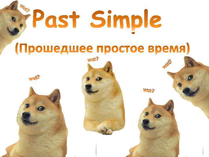 wu t? wut? ut w wut? ? 