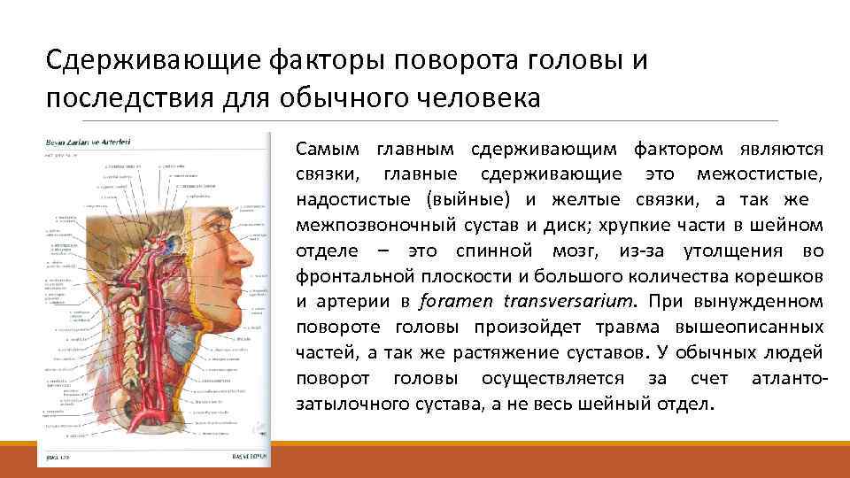 Сдерживающие факторы поворота головы и последствия для обычного человека Самым главным сдерживающим фактором являются