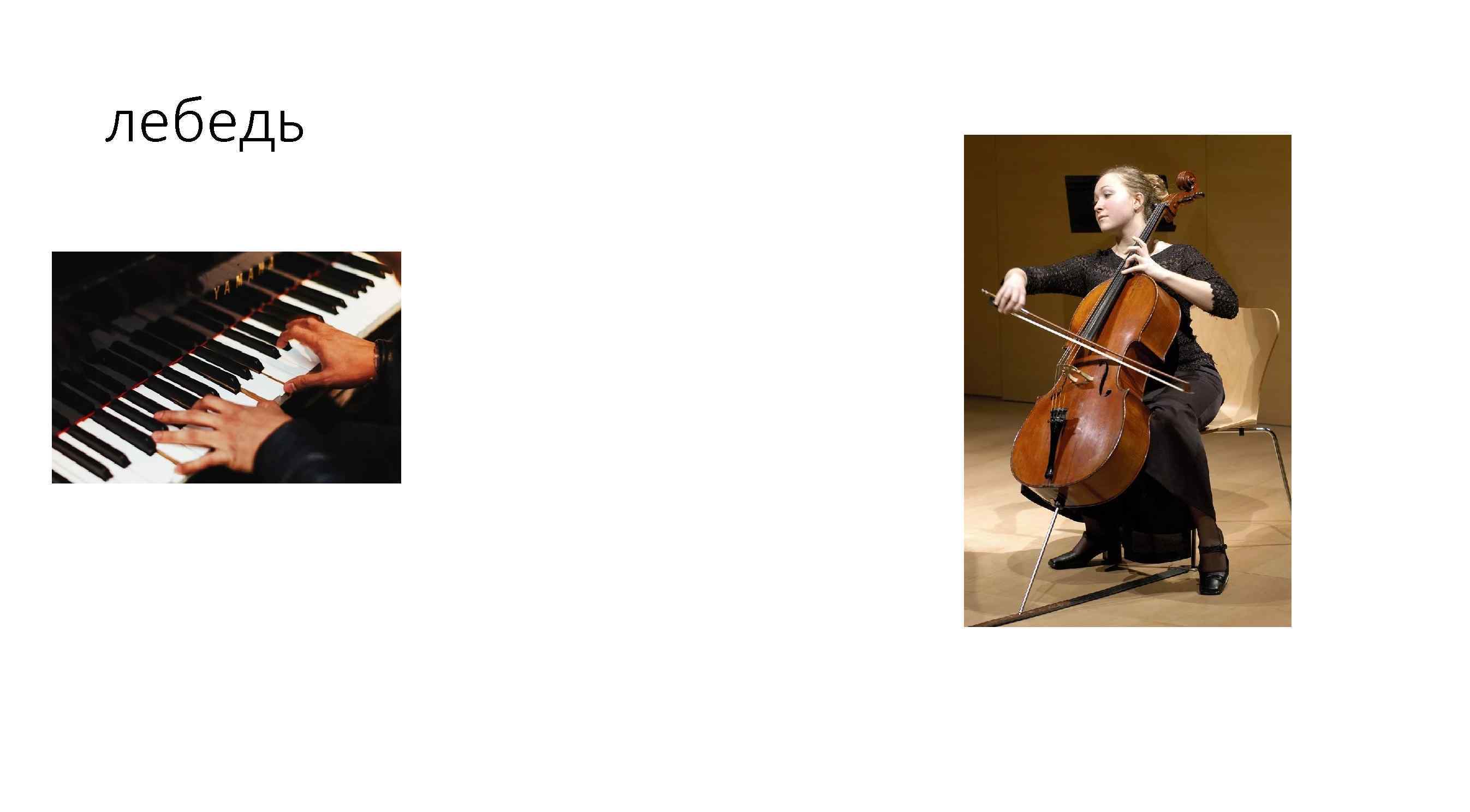 лебедь 