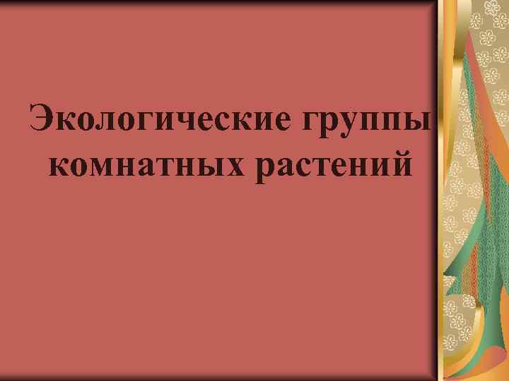 Экологические группы комнатных растений 