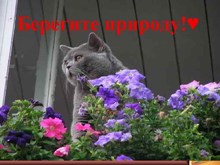 Берегите природу!♥ 