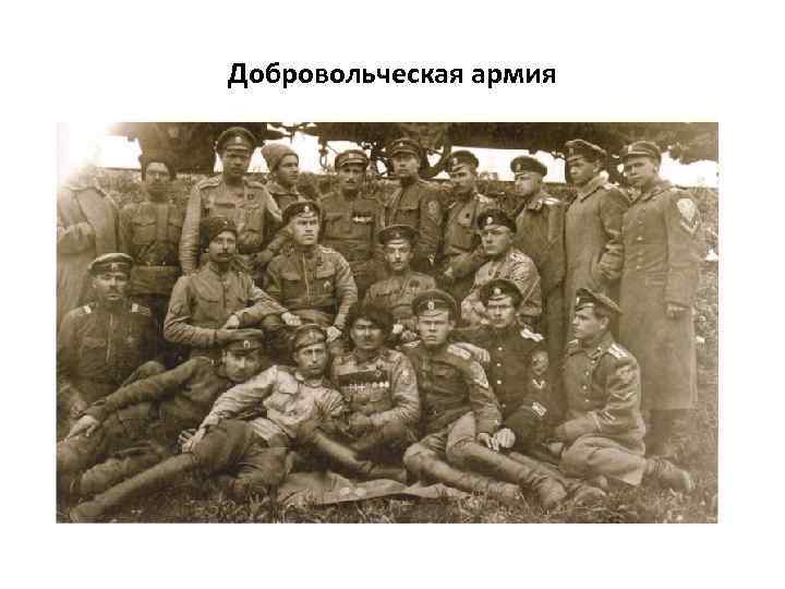 Добровольческая армия 