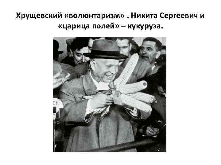 Хрущевский «волюнтаризм» . Никита Сергеевич и «царица полей» – кукуруза. 