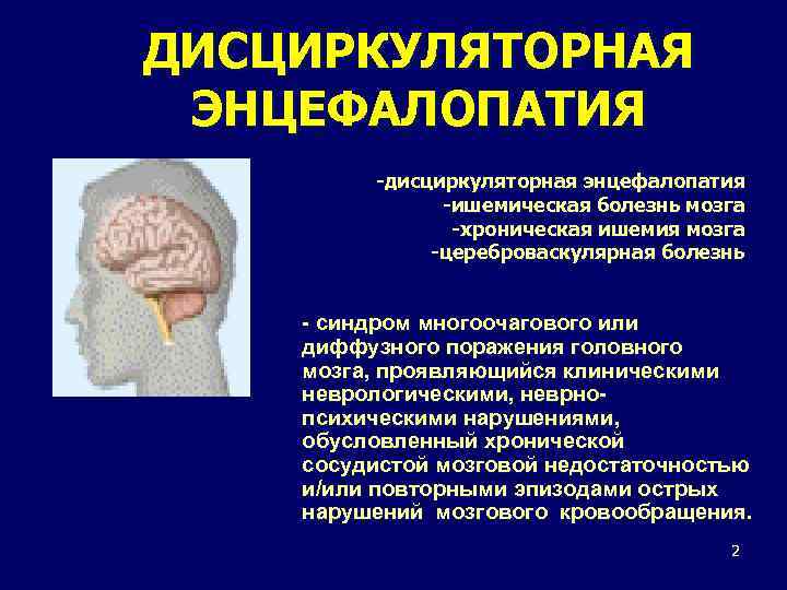 ДИСЦИРКУЛЯТОРНАЯ ЭНЦЕФАЛОПАТИЯ -дисциркуляторная энцефалопатия -ишемическая болезнь мозга -хроническая ишемия мозга -цереброваскулярная болезнь - синдром