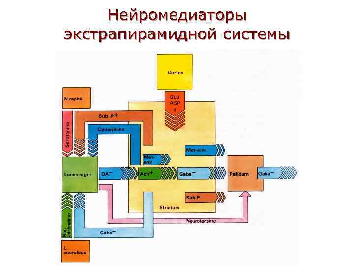 Нейромедиаторы экстрапирамидной системы 