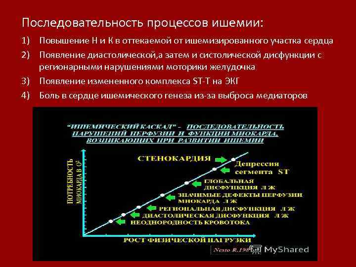 Последовательность процессов ишемии: 1) Повышение Н и К в оттекаемой от ишемизированного участка сердца