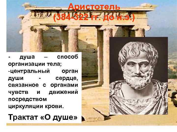 Аристотель (384 -322 гг. до н. э. ) душа – способ организации тела; центральный