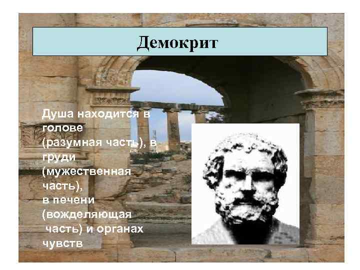 Демокрит Душа находится в голове (разумная часть), в груди (мужественная часть), в печени (вожделяющая