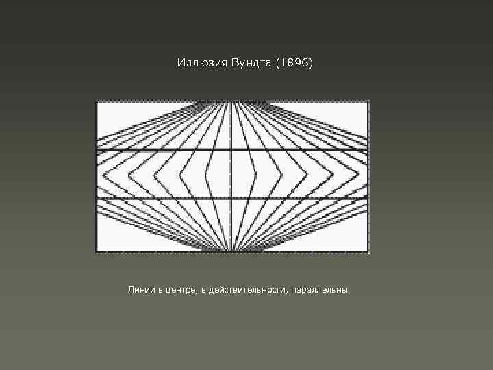 Иллюзия Вундта (1896) Линии в центре, в действительности, параллельны 
