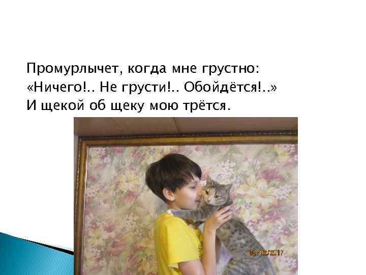 Промурлычет, когда мне грустно: «Ничего!. . Не грусти!. . Обойдётся!. . » И щекой