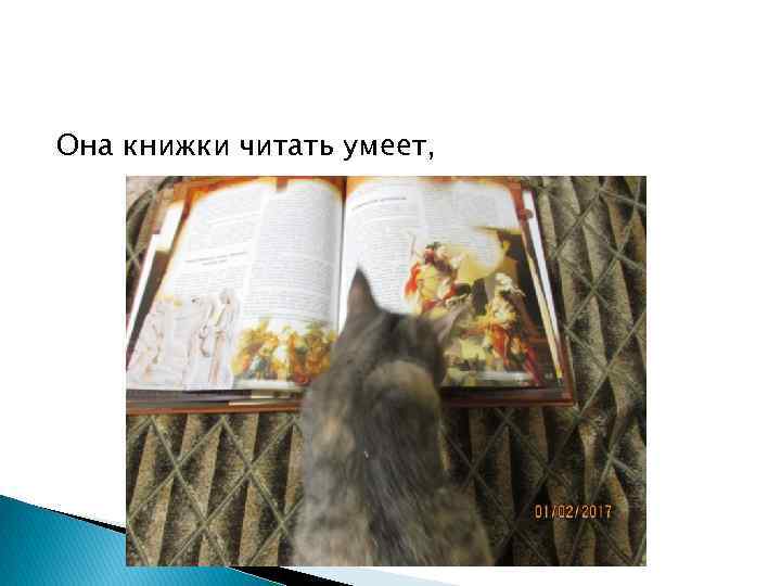 Она книжки читать умеет, 