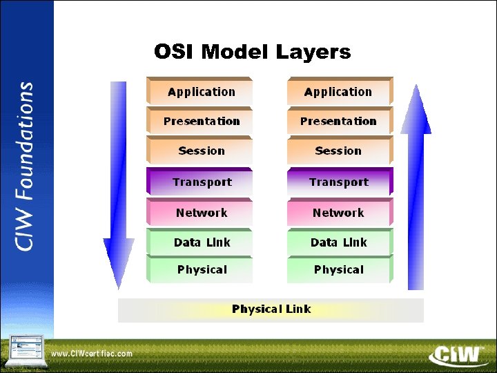 OSI Model Layers 