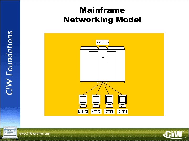 Mainframe Networking Model 