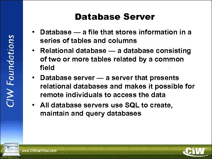 Database Server • Database — a file that stores information in a series of