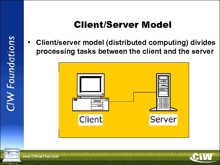 Client/Server Model • Client/server model (distributed computing) divides processing tasks between the client and