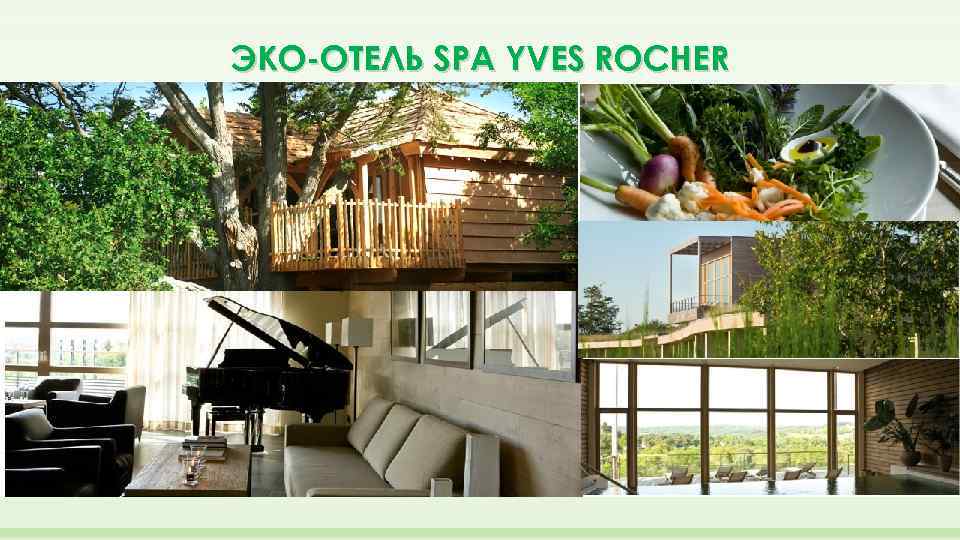 ЭКО-ОТЕЛЬ SPA YVES ROCHER 