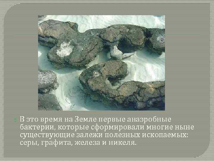  В это время на Земле первые анаэробные бактерии, которые сформировали многие ныне существующие