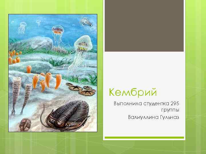 Кембрий Выполнила студентка 295 группы Валиуллина Гульназ 