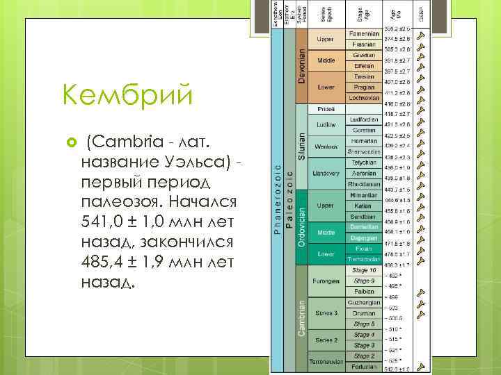 Кембрий (Cambria - лат. название Уэльса) первый период палеозоя. Начался 541, 0 ± 1,