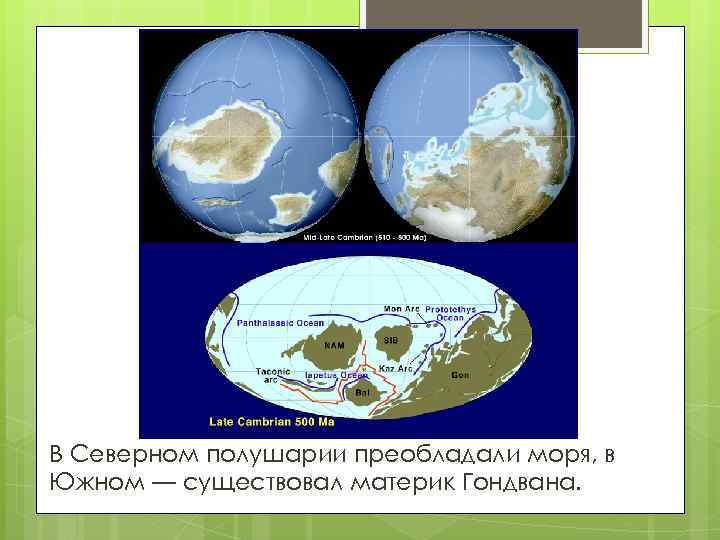 В Северном полушарии преобладали моря, в Южном — существовал материк Гондвана. 