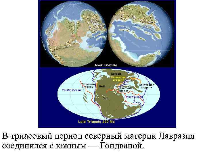 В триасовый период северный материк Лавразия соединился с южным — Гондваной. 