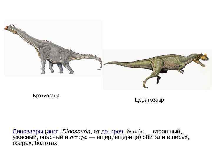 Брахиозавр Цератозавр Динозавры (англ. Dinosauria, от др. -греч. δεινός — страшный, ужасный, опасный и