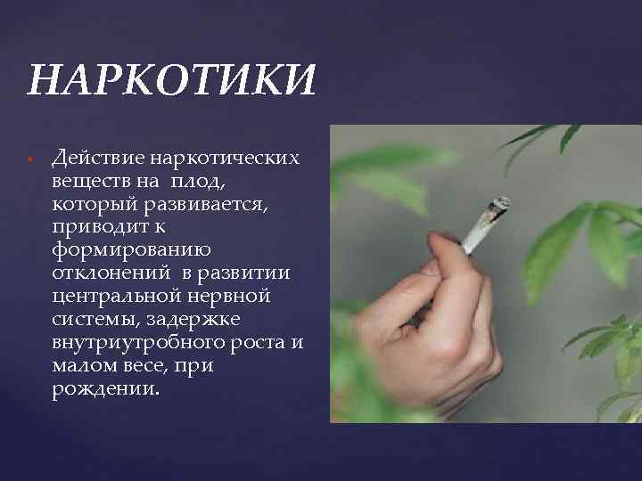 НАРКОТИКИ Действие наркотических веществ на плод, который развивается, приводит к формированию отклонений в развитии