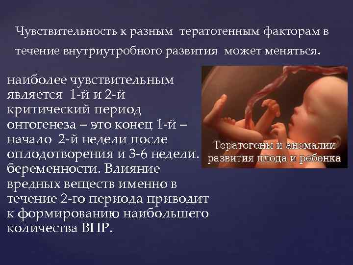 Чувствительность к разным тератогенным факторам в течение внутриутробного развития может меняться. наиболее чувствительным является