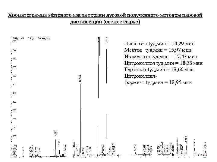 Хроматограмма эфирного масла герани луговой полученного методом паровой дистилляции (свежее сырье) Линалоол tуд, мин