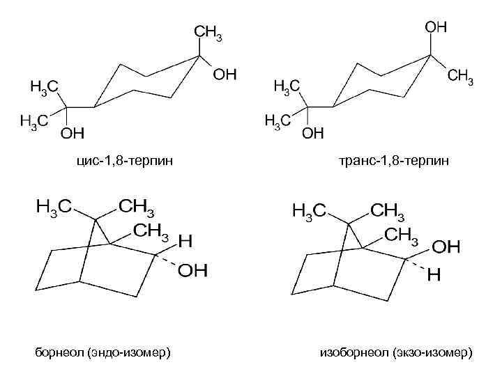 цис-1, 8 -терпин борнеол (эндо-изомер) транс-1, 8 -терпин изоборнеол (экзо-изомер) 