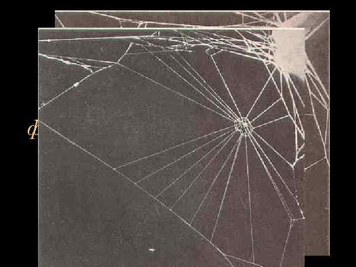 Действие алкоголя и наркотиков на генетически фиксированные виды поведения 