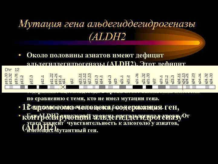 Мутация гена альдегидрогеназы (ALDH 2 • Около половины азиатов имеют дефицит альдегидрогеназы (ALDH 2).