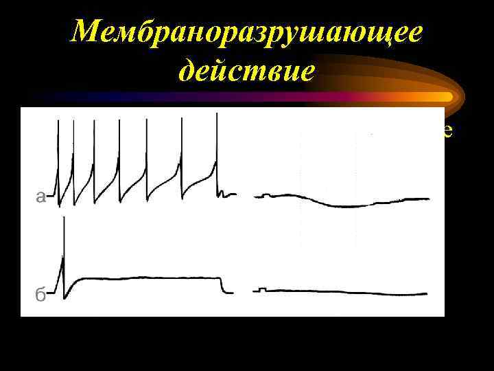 Мембраноразрушающее действие • Этиловый спирт нарушает состояние мембран, влияет на структуру билипидного слоя, изменяя