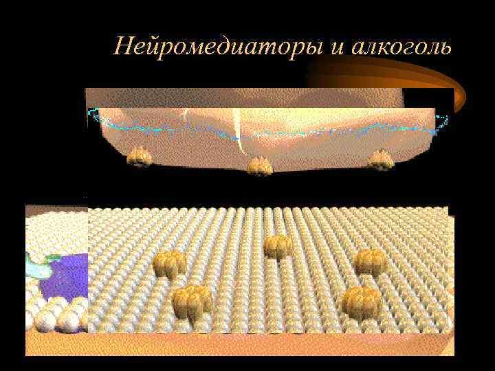 Нейромедиаторы и алкоголь 