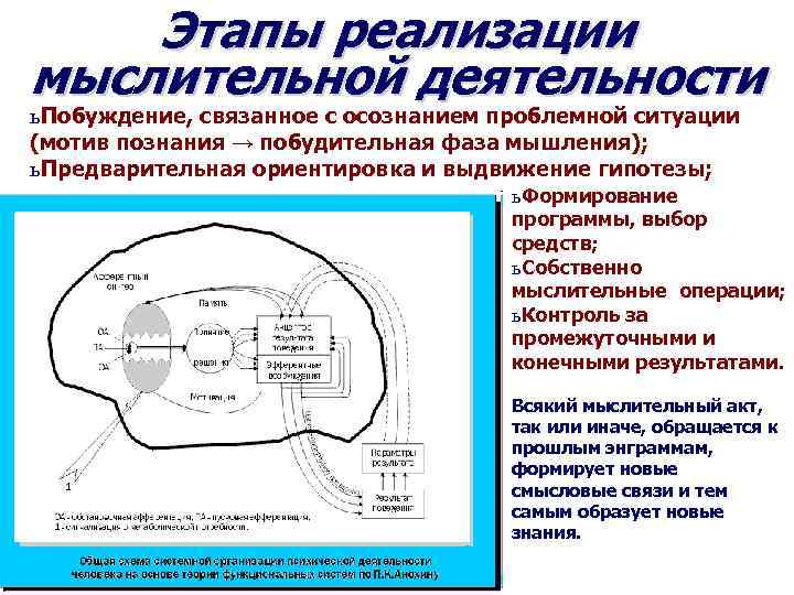 Этапы реализации мыслительной деятельности ь Побуждение, связанное с осознанием проблемной ситуации (мотив познания →