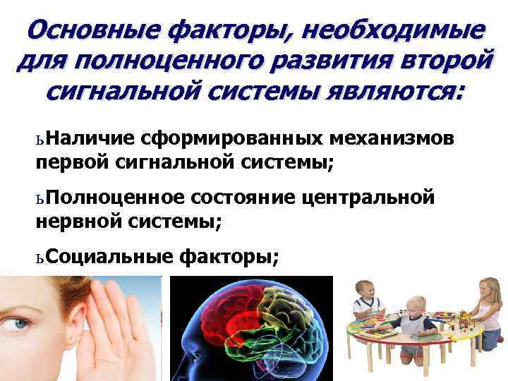Основные факторы, необходимые для полноценного развития второй сигнальной системы являются: ь Наличие сформированных механизмов