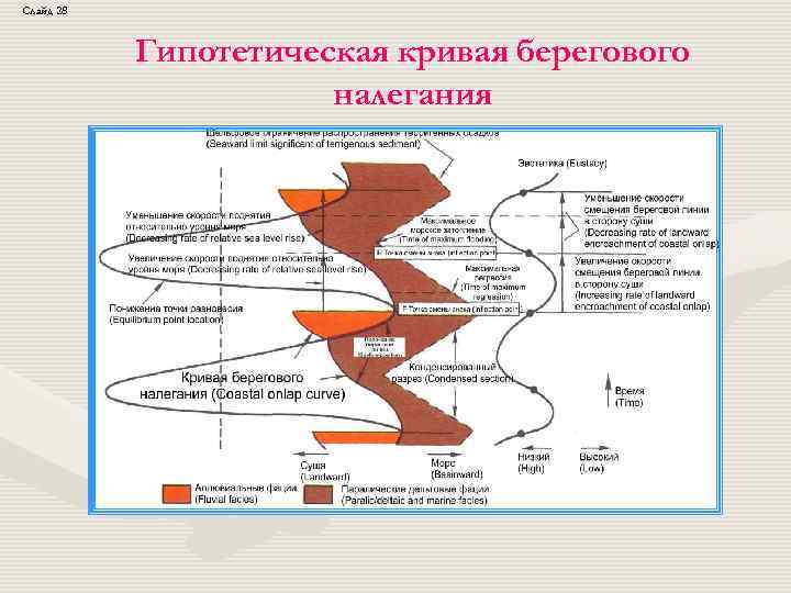 Слайд 28 Гипотетическая кривая берегового налегания 