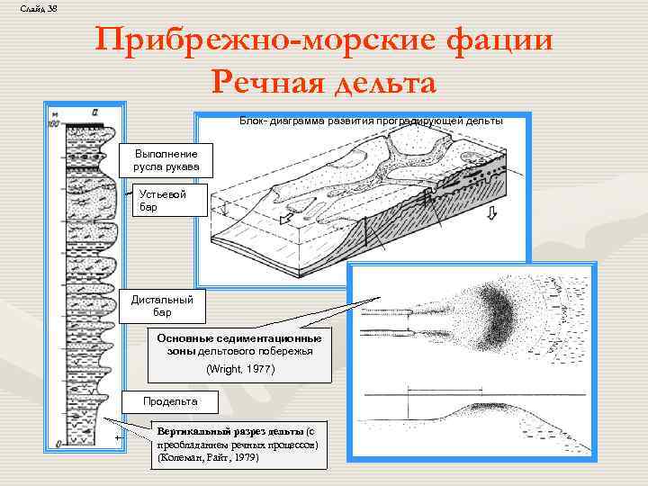 Слайд 38 Прибрежно-морские фации Речная дельта Блок- диаграмма развития проградирующей дельты Выполнение русла рукава