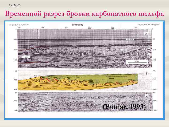 Слайд 47 Временной разрез бровки карбонатного шельфа Слайд (Pomar, 1993) 